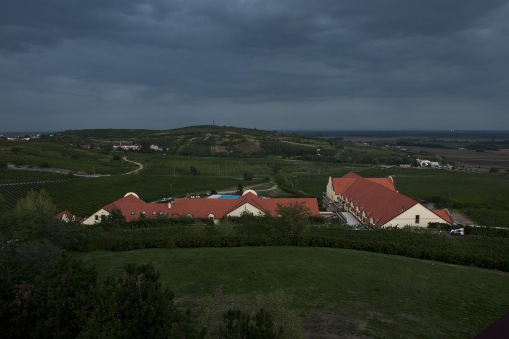 Vinarstvi U Kaplicky Hotell Zaječí Rum bild