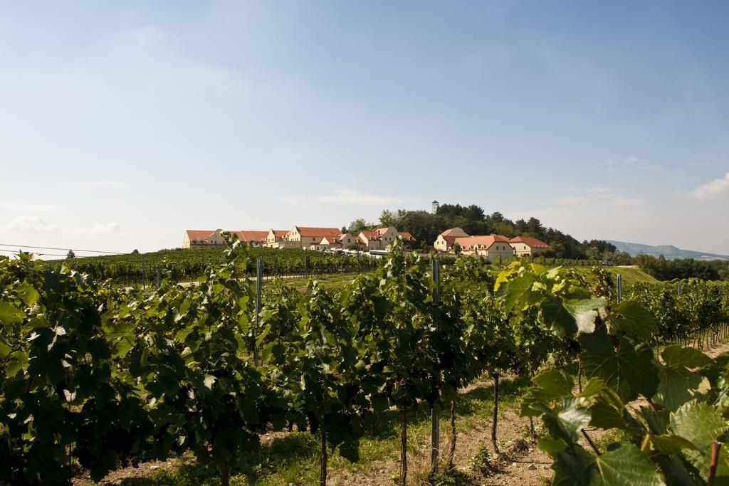 Vinarstvi U Kaplicky Hotell Zaječí Exteriör bild