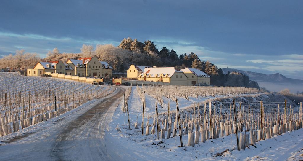 Vinarstvi U Kaplicky Hotell Zaječí Exteriör bild