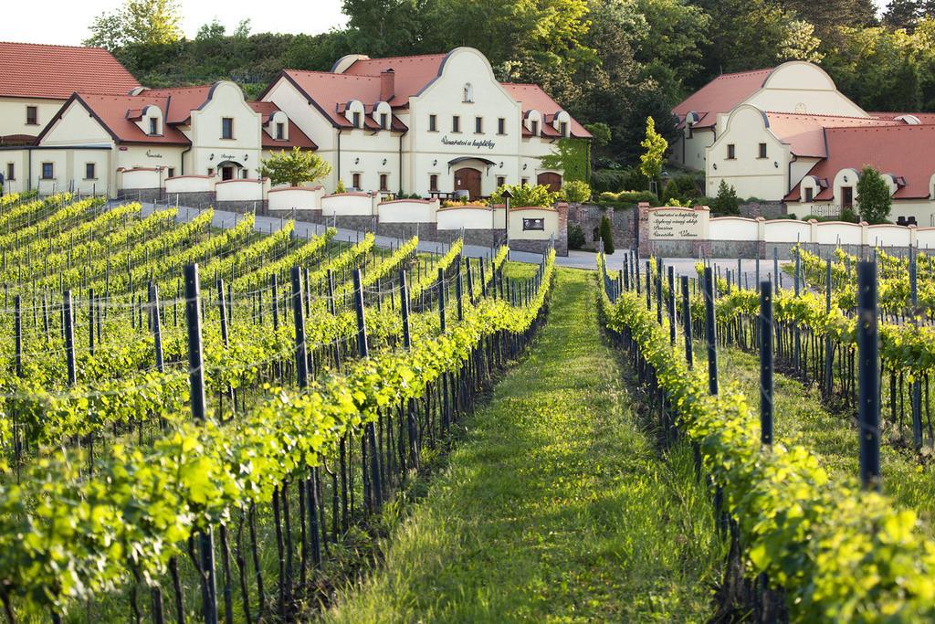Vinarstvi U Kaplicky Hotell Zaječí Exteriör bild